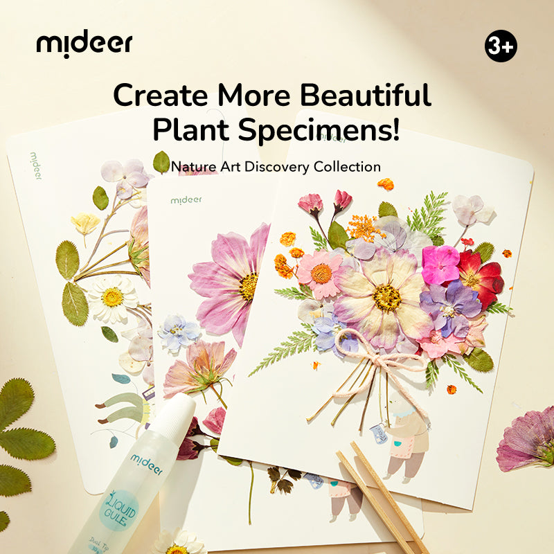 Nature Art Discovery Collection