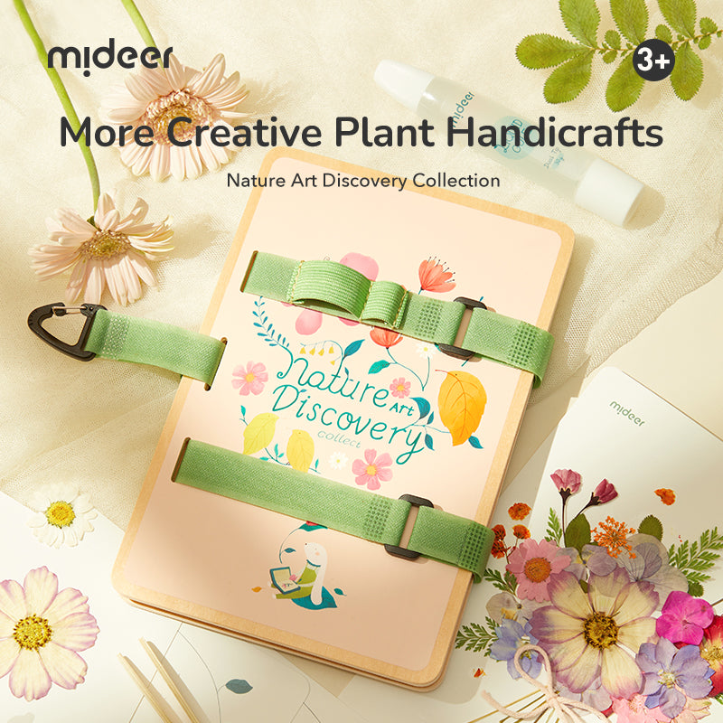 Nature Art Discovery Collection