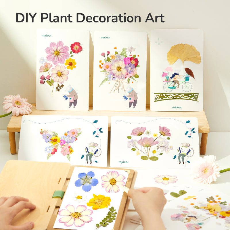 Nature Art Discovery Collection