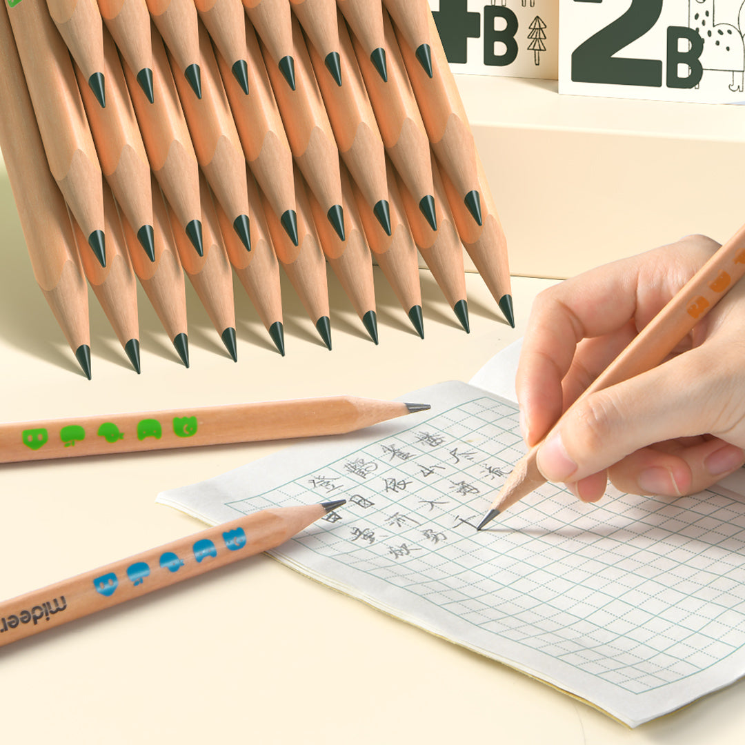 Thick Triangular Pencils 2B 6P