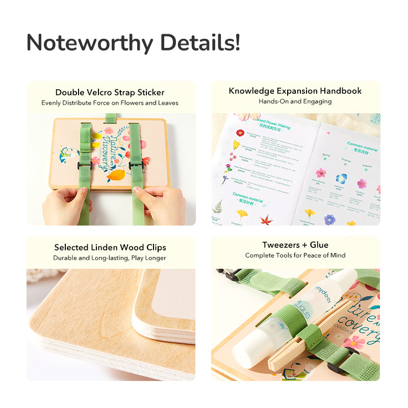 Nature Art Discovery Collection