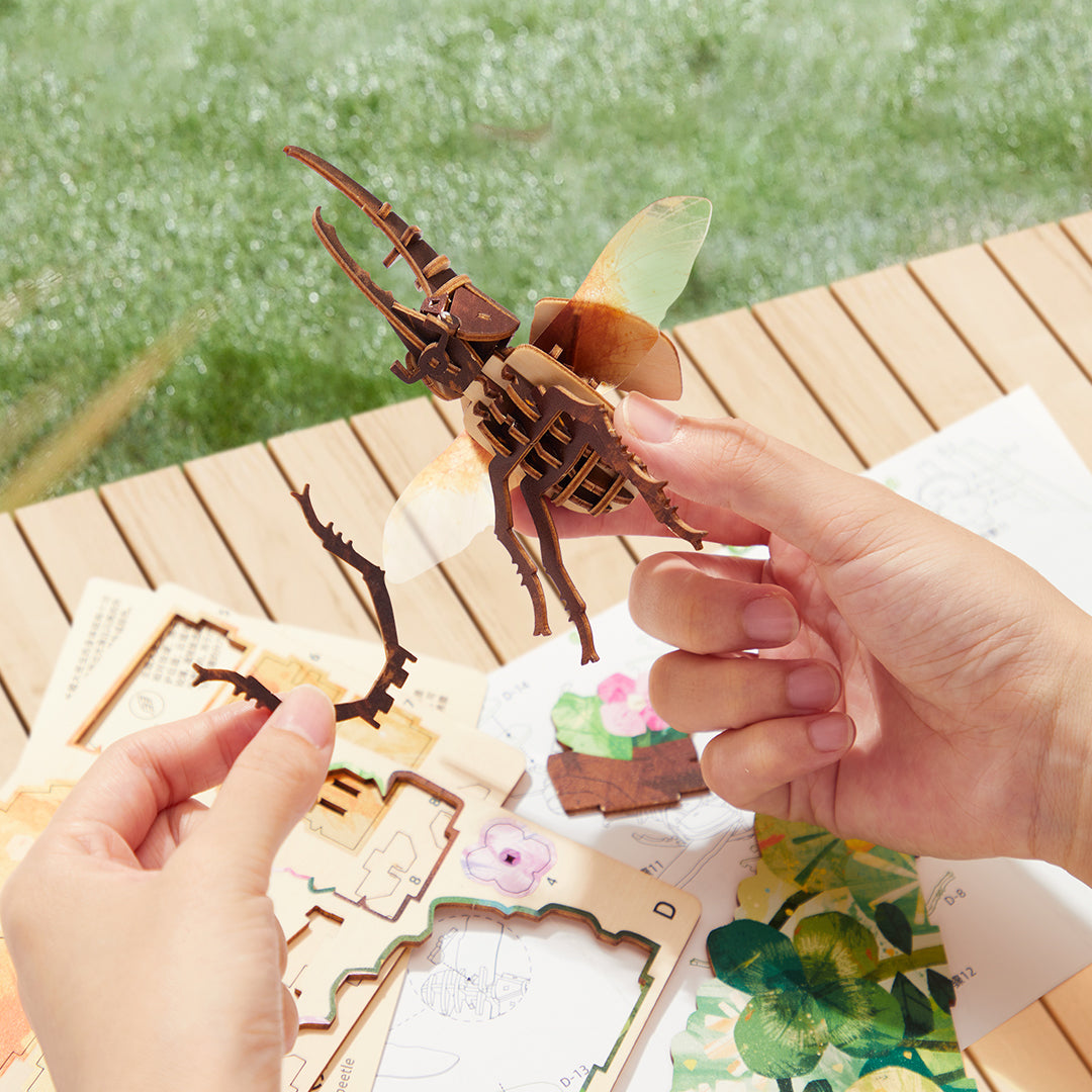 Puzzle 3D de madera: Escarabajo Hércules