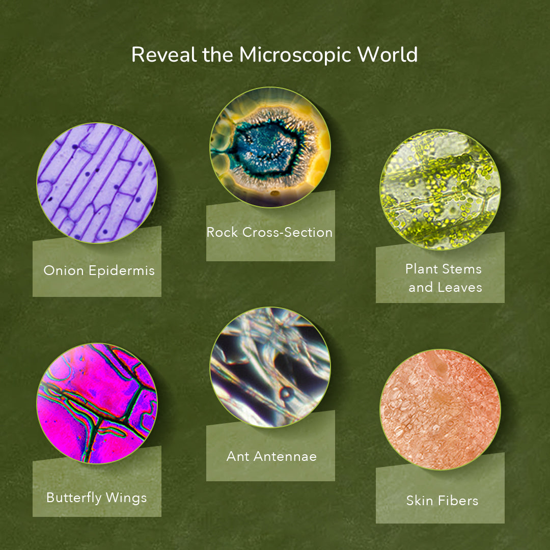 Exploring With Microscope