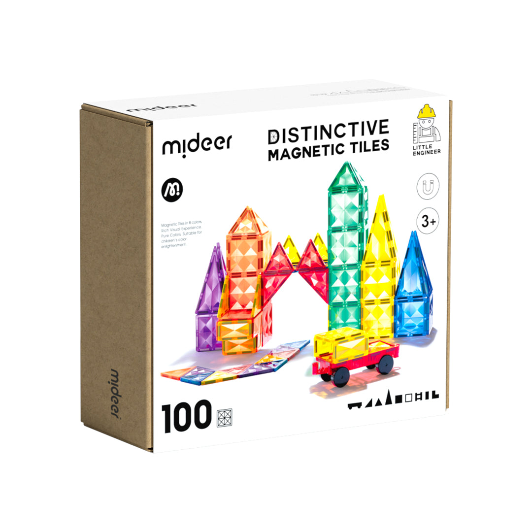 Distinctive Magnetic Tiles 100P