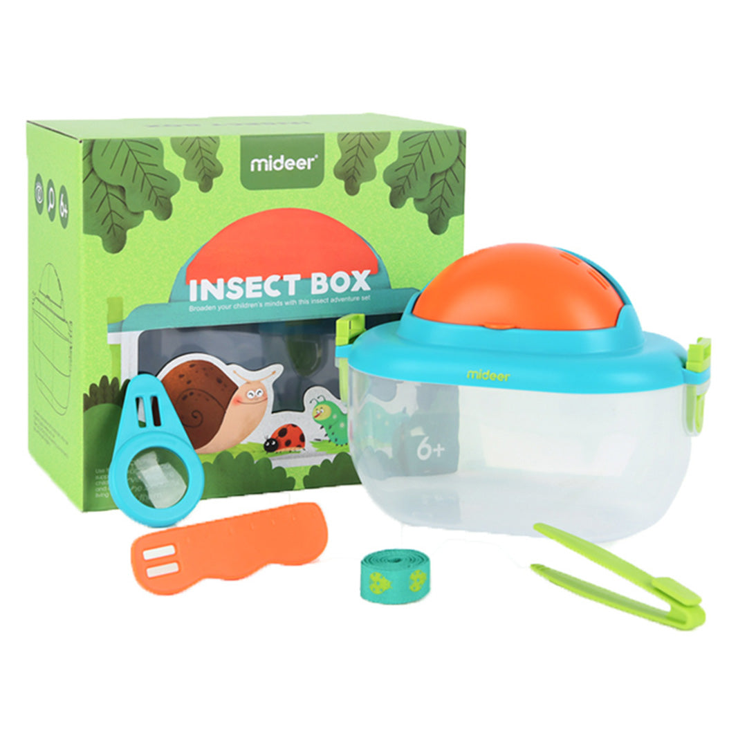 Insect Box